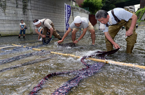 神田川水元再現 2013年7月28日 東京新聞提供